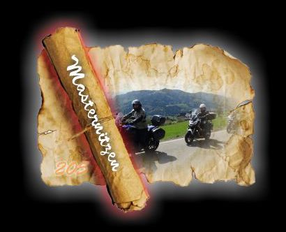 385 Masternitzen